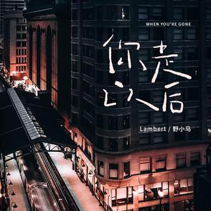 女生裸体视频软件网站入口
