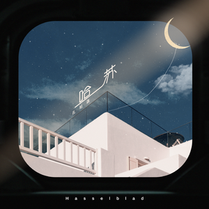 女生裸体视频软件网站入口
