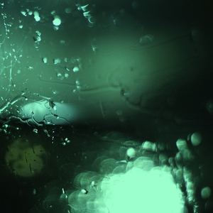 女生裸体视频软件网站入口
